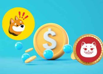 Catzilla Coin 可能以 12,000% 的增长潜力超越 BONK——这是您的下一个大赌注吗?