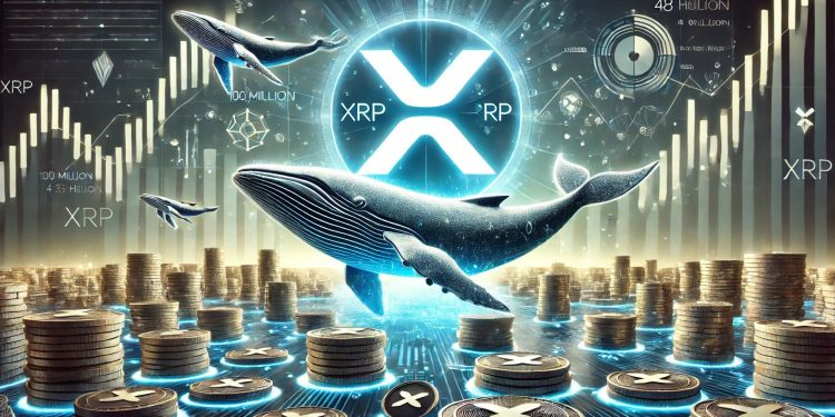 XRP 鲸鱼不断装袋——48 小时内累积 1 亿个 XRP