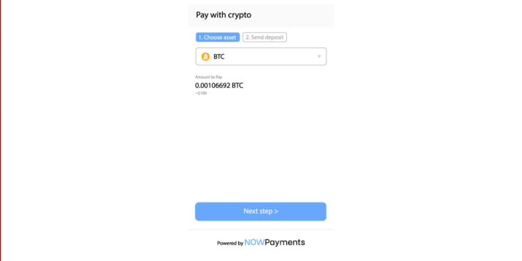 NOWPayments 推出新的支付小工具作为给商家的新年礼物