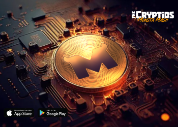 长期增长的三大山寨币:Monsta Mash ($MASH)、Chainlink (LINK) 和 XRP – 为什么 $MASH 是本季必备代币!