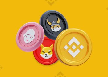 BTFD 币安谣言因 SHIB 和 PEPE 亮点而升温