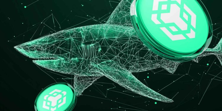 BNB (BNB) 和 Cardano (ADA) 表现出混合信号,但分析师表示,这家 DeFi 巨头可能在 2025 年第一季度表现优于两者