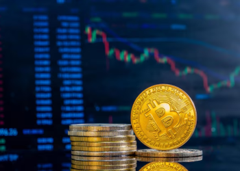 Delta Exchange 的崛起:重新定义印度市场的加密货币交易