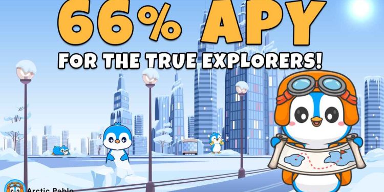 Arctic Pablo、TRUMP Meme Coin 和 Bonk