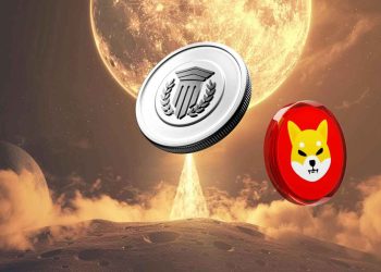shiba inu(shib)麻烦将变得更糟