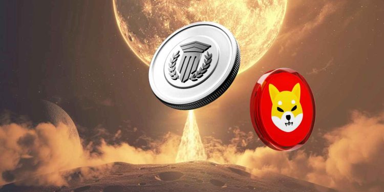 shiba inu（shib）麻烦将变得更糟