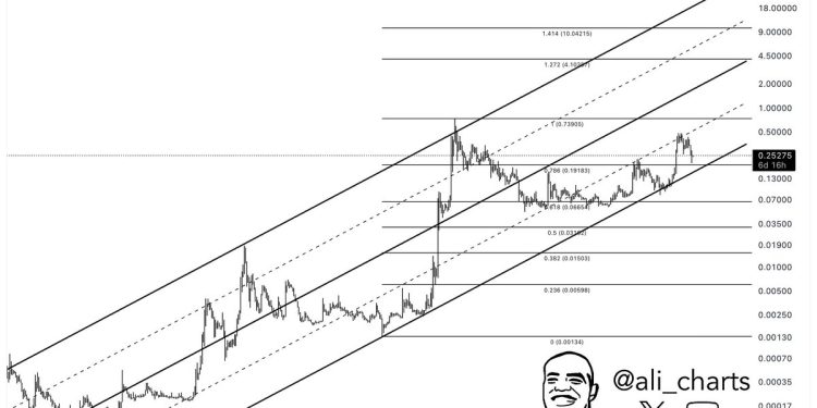 Dogecoin Hitch Strong- Analyst说$ 4的集会可能是下一个