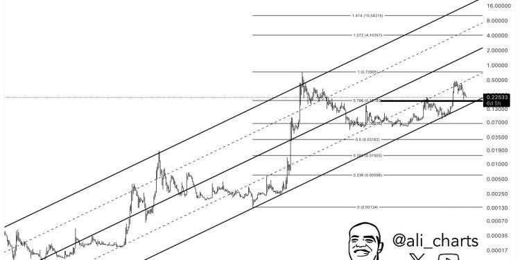 如果Dogecoin低于此级别,则可以自由降至0.06美元