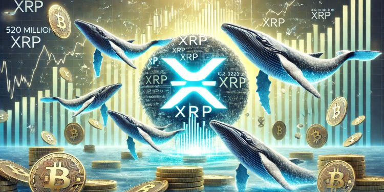 大量XRP积累 – 鲸鱼在市场下降期间购买了5.2亿XRP