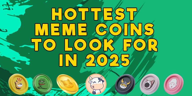 8本月要购买的新的新加密货币：这款新的模因硬币的公牛队在2025年领导Meme Coin Chare