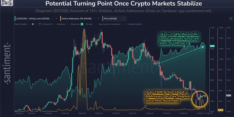 Dogecoin Shark＆Whale人口上升 – 定价周转？