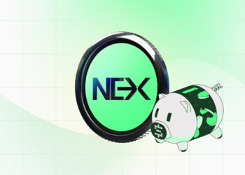 新的加密货币预售:Nexchain引起了投资者的关注,而比特币趋势下降