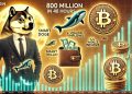 Dogecoin鲸鱼在48小时内购买了8亿多名 – 聪明的钱还是公牛陷阱?