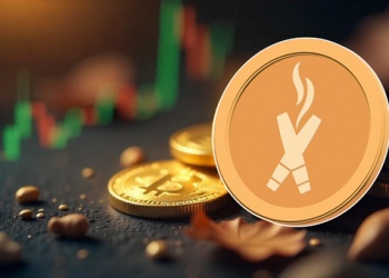 现在购买的最佳加密货币:Dexboss和直觉加密交易的兴起!