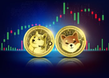 为什么Dogecoin和Shiba INU的价格上涨了10%以上?