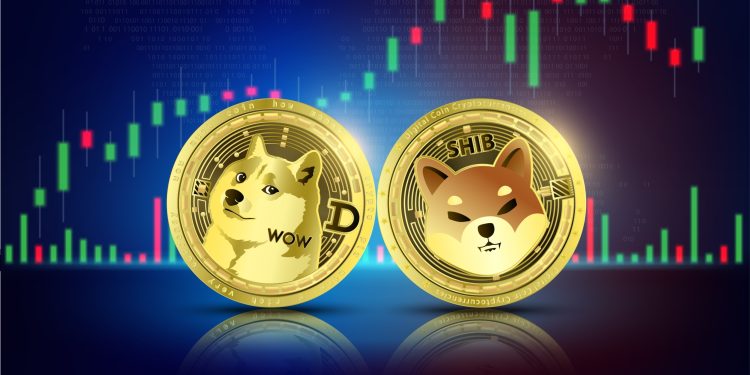 为什么Dogecoin和Shiba INU的价格上涨了10%以上?