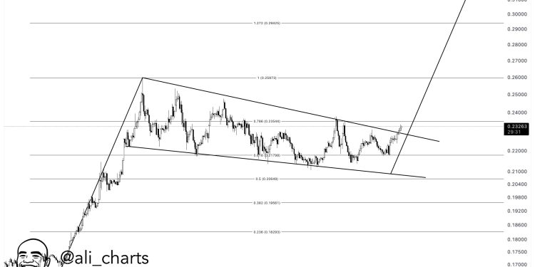 Dogecoin突破了牛tenant – 目标是什么?
