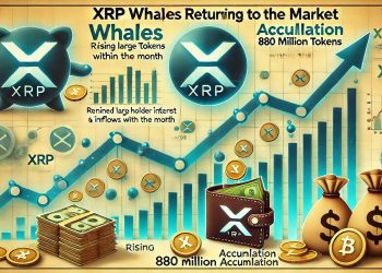 XRP鲸鱼回来了 – 本月积累了8.8亿个令牌