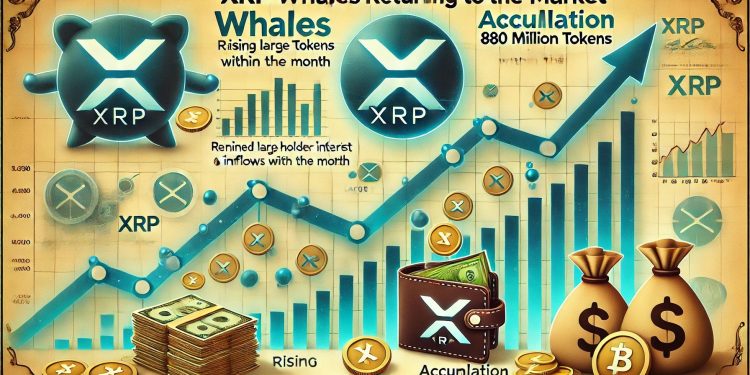 XRP鲸鱼回来了 – 本月积累了8.8亿个令牌