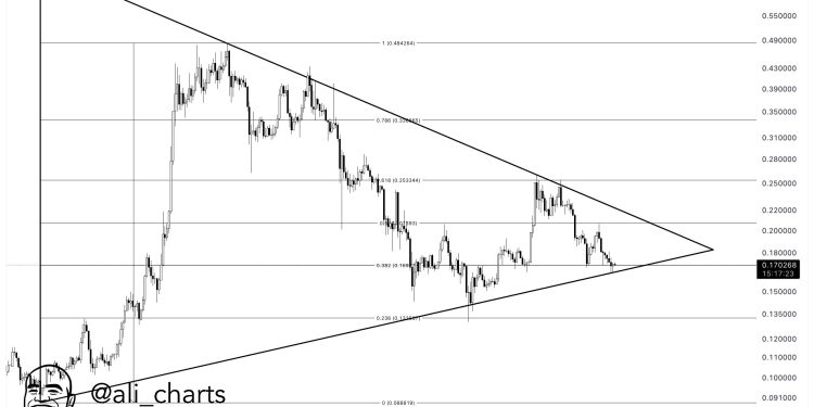 Dogecoin恢复60％的搬迁 – 会向上还是向下？