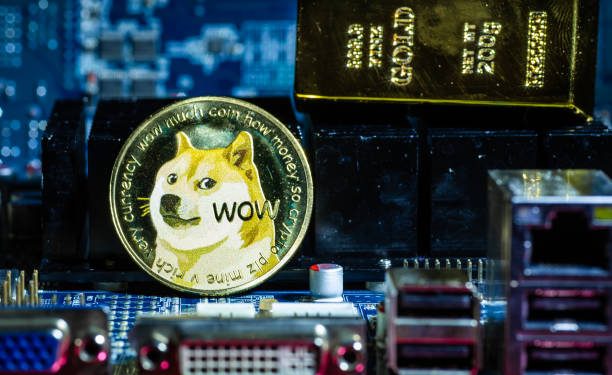Dogecoin正在准备起飞吗? FIB反应和趋势支持说是