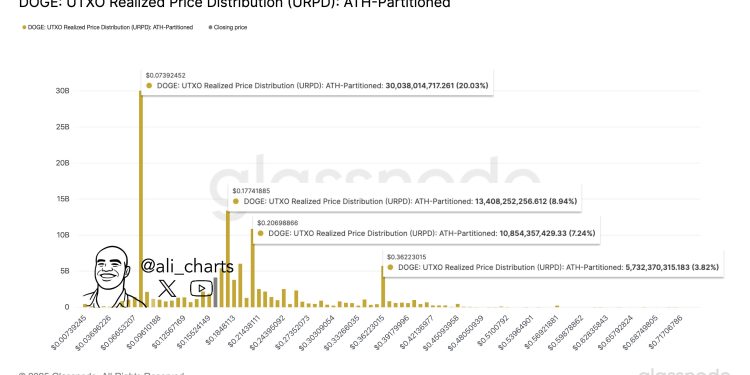 Dogecoin阻力墙前方:分析师旗3关键水平