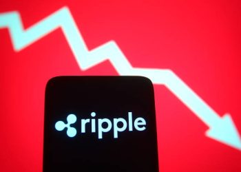 Ripple首席执行官发声警报:如果您是XRP投资者,则应该看到此