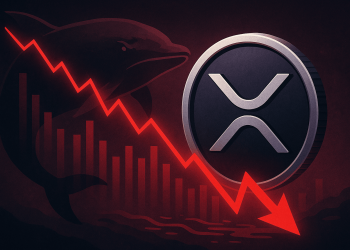 $ 2.8是否在更深的损失之前停止？