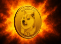 狗狗币牛市碾压了吗?分析师预测 DOGE 何时再次反弹
