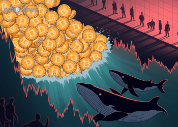 狗狗币新闻:狗狗币巨头抛售 5 亿枚代币 – 投资者必须了解的内容