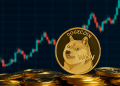 Doge News:随着鲸鱼积累超过 3 亿美元,狗狗币价格飙升