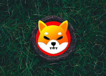 SHIB 持有者准备迎接突破——这可能是新 Meme 币超级周期的开始吗？