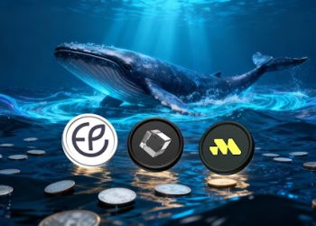 加密鲸鱼在顶级加密货币预售上下了重注：你应该在 2026 年之前购买这些加密货币预售吗？