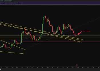 为什么这一价格水平引起了所有人的关注