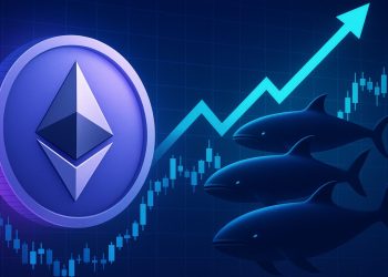 表现最佳的公司全力买入以太坊多头头寸，风险敞口超过 4.25 亿美元